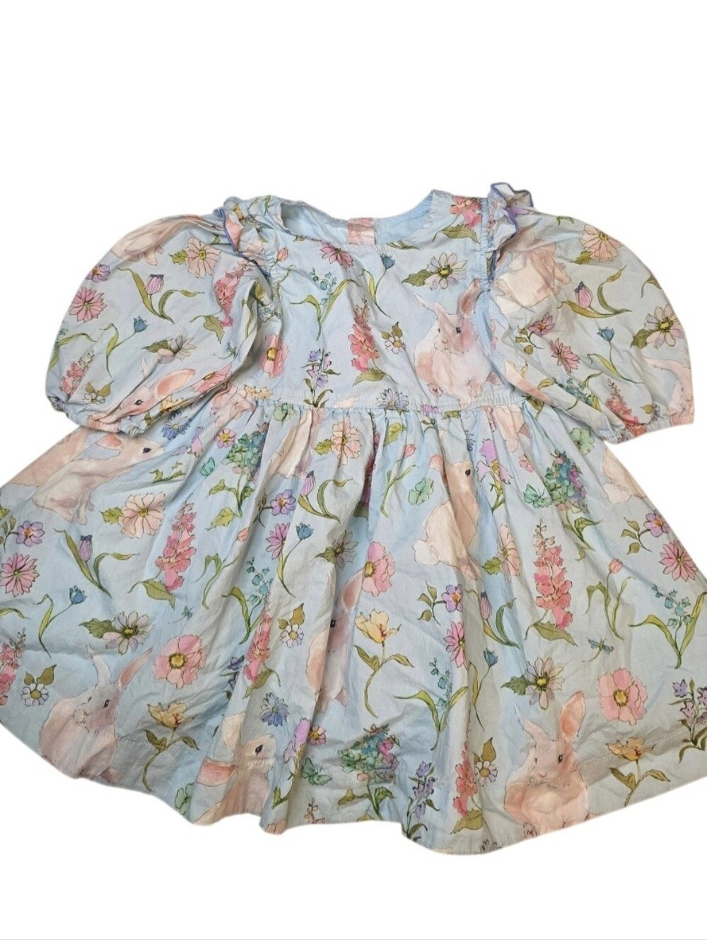 Pink Chicken Brooke Dress, Botanical Bunnies Print
